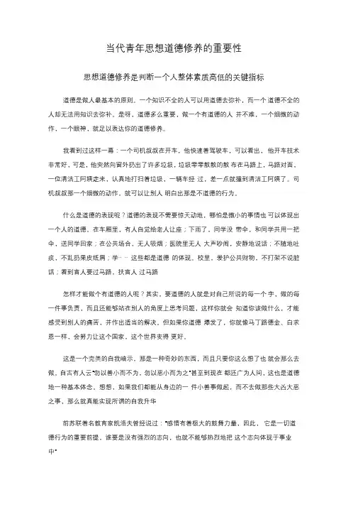 思修论文--当代青年思想道德修养的重要性