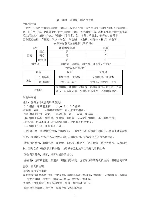 显微镜下的各种生物
