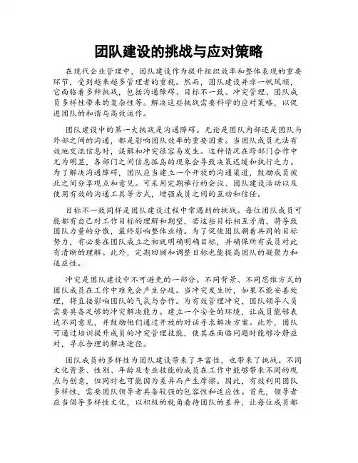 团队建设的挑战与应对策略