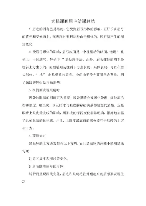素描课画眉毛结课总结