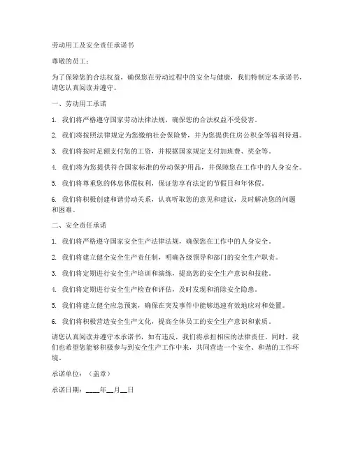劳动用工及安全责任承诺书