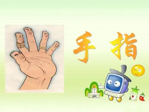 5《手指》PPT
