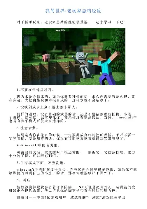 我的世界老玩家总结经验