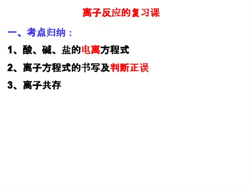 人教版高中化学考点知识点复习课《离子反应》课件