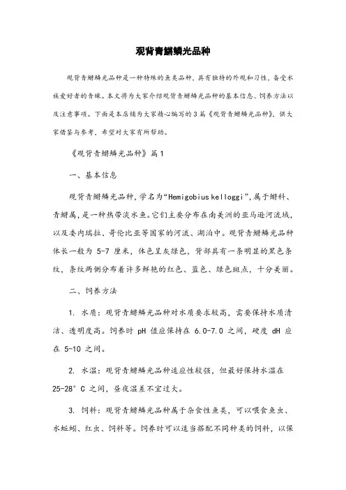 观背青鱂鳞光品种