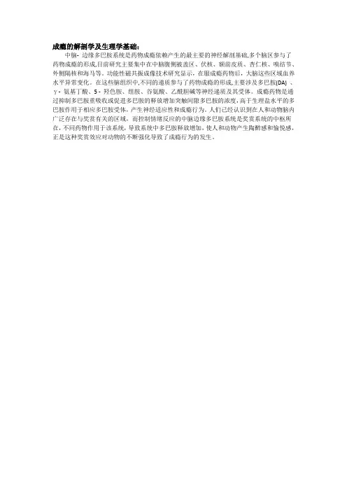 成瘾的解剖学及生理学基础