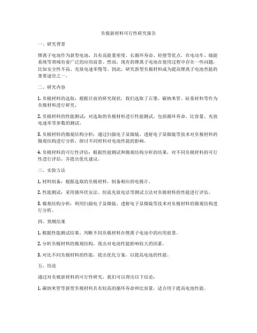 负极新材料可行性研究报告
