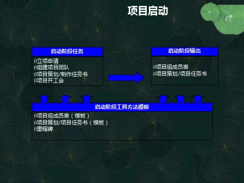 华为项目管理计划和关键点模板