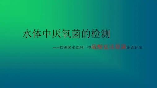 水体中厌氧菌的检测