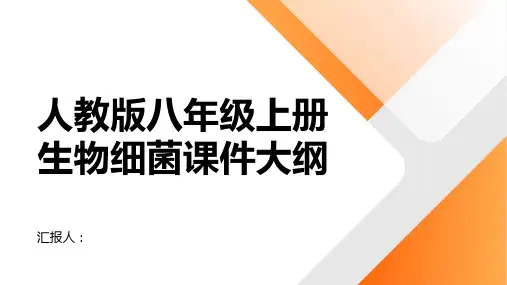 人教版八年级上册生物细菌课件