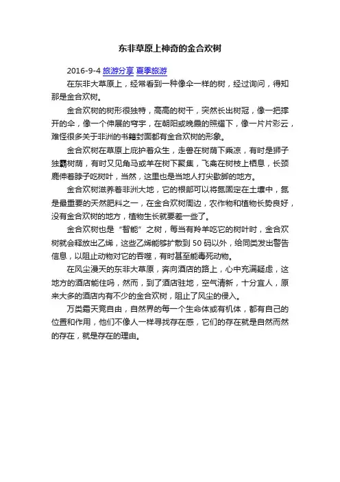 东非草原上神奇的金合欢树