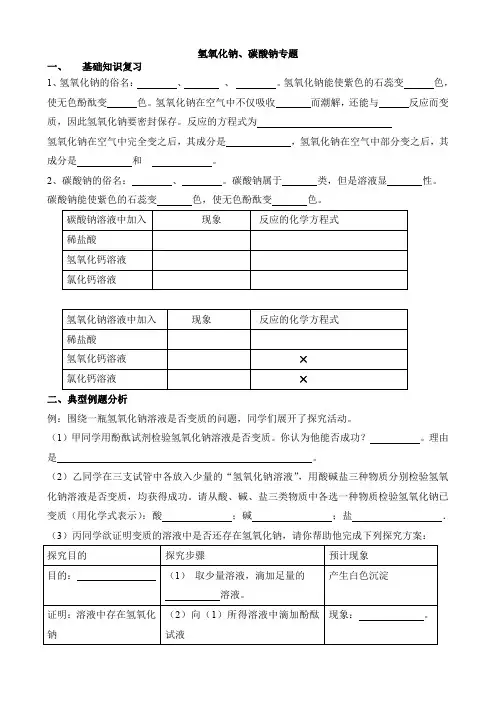 氢氧化钠和碳酸钠专题