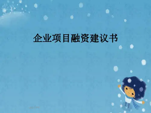 企业项目融资建议书