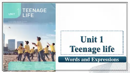 人教版必修第一册Unit1TeenageLifeWordsandExpressions词汇课件