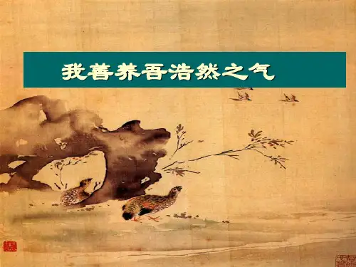 【高中语文】我善养吾浩然之气ppt精品课件