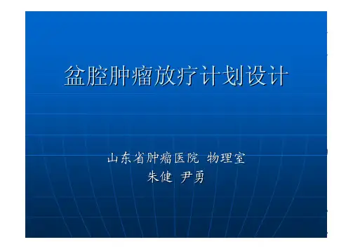 盆腔肿瘤放疗计划设计