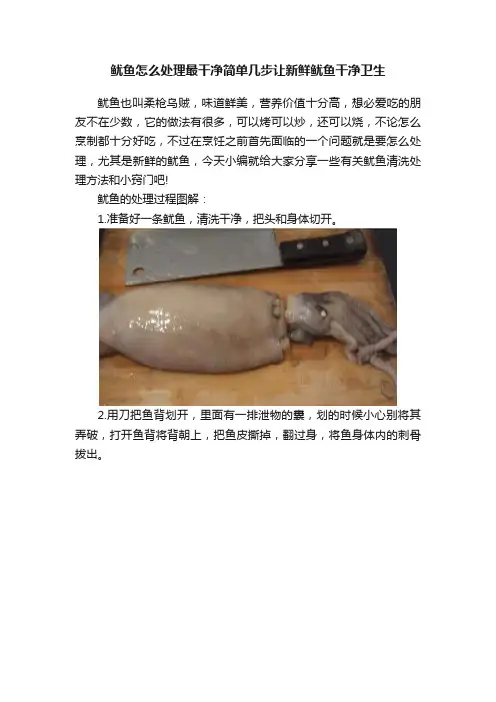 鱿鱼怎么处理最干净简单几步让新鲜鱿鱼干净卫生