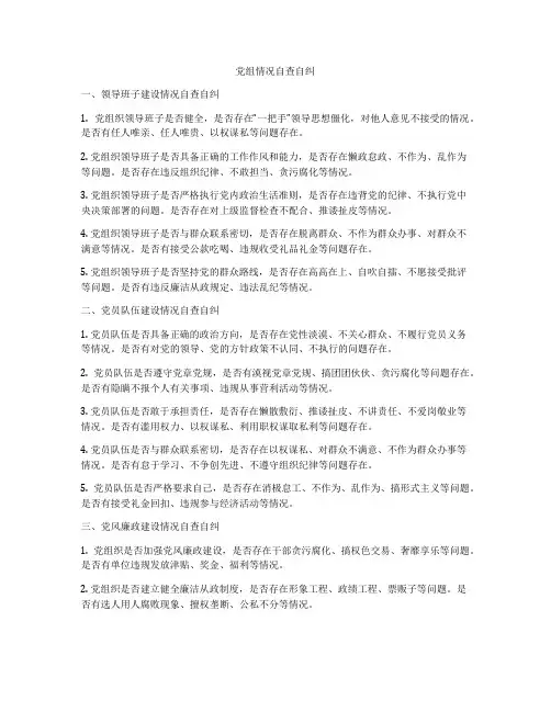 党组情况自查自纠