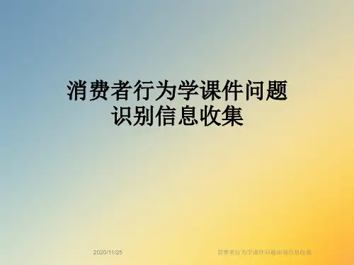 消费者行为学课件问题识别信息收集
