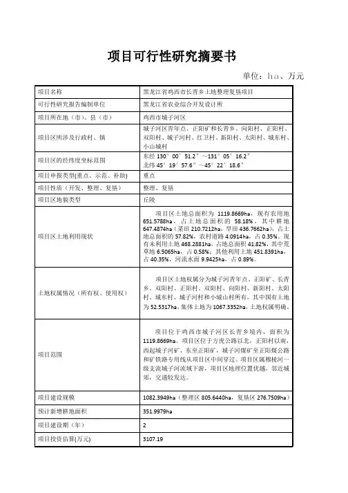 土地整理复垦项目可研报告