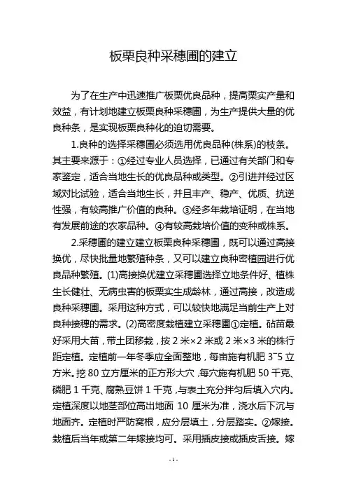 板栗良种采穗圃的建立