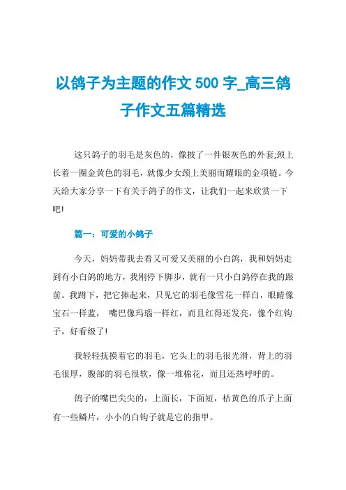 以鸽子为主题的作文500字_高三鸽子作文五篇精选