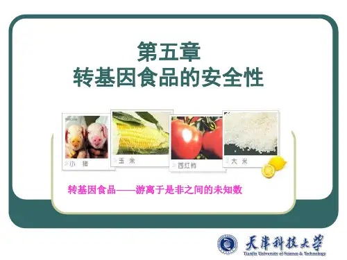 5转基因食品的安全性 PPT课件