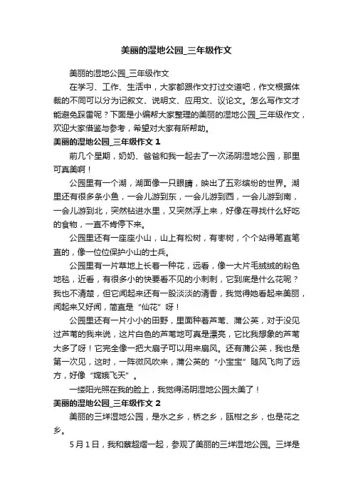 美丽的湿地公园_三年级作文