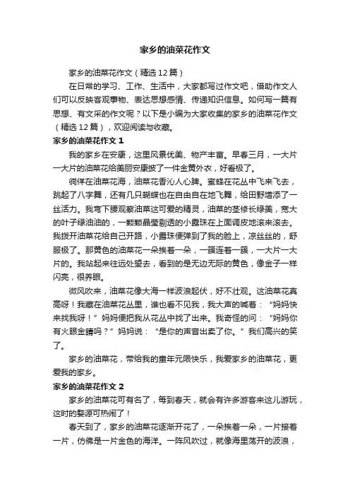 家乡的油菜花作文（精选12篇）