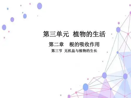 第二章  根的吸收作用第三节  无机盐与植物的生长