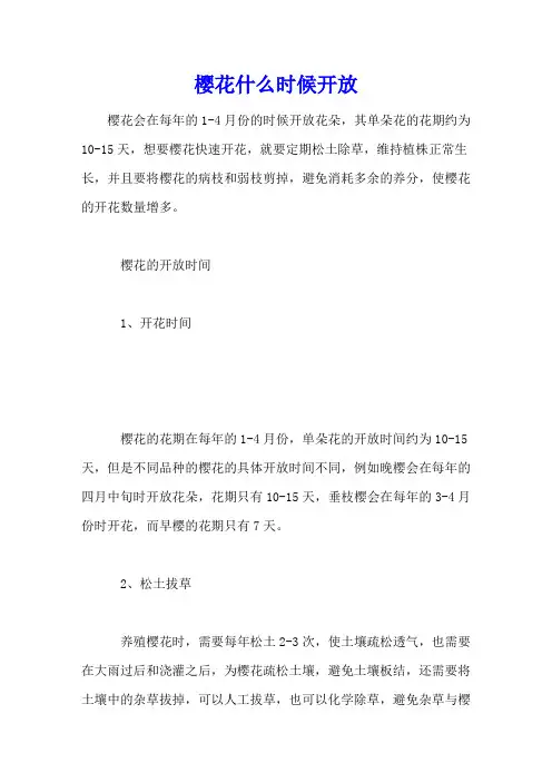 樱花什么时候开放