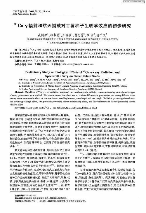 60Coγ辐射和航天搭载对甘薯种子生物学效应的初步研究