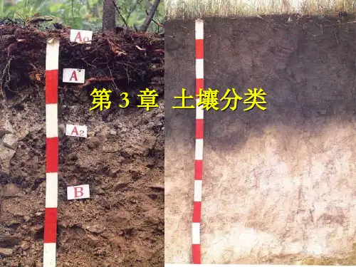 第3章 土壤分类