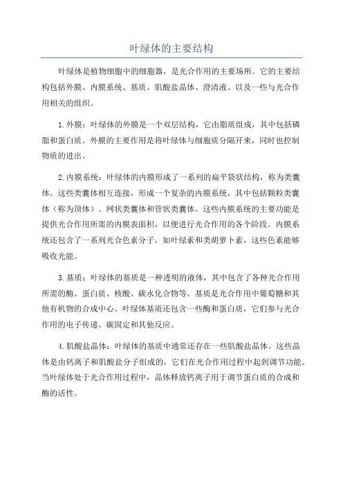 叶绿体的主要结构