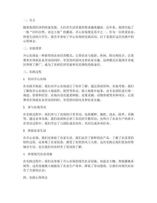 开心农场实践心得体会