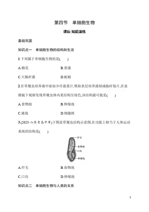3.4单细胞生物 同步练习 人教版(2024)生物七年级上册