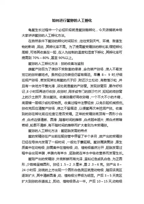 如何进行鳖卵的人工孵化