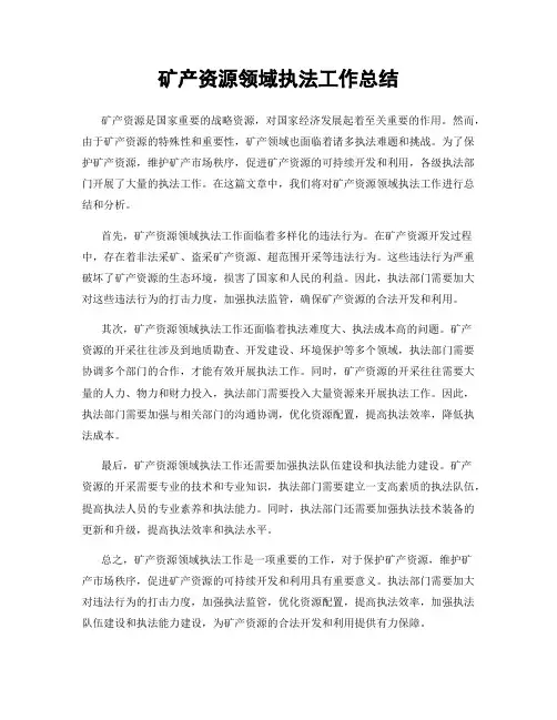 矿产资源领域执法工作总结