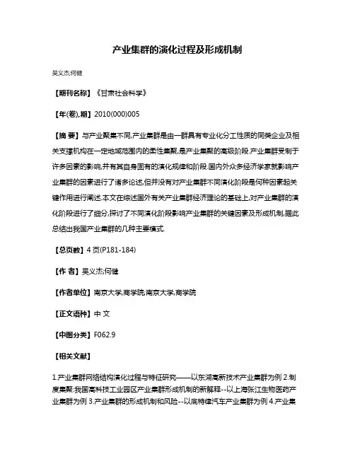 产业集群的演化过程及形成机制