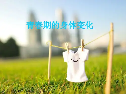 四年级课程青春期身体的变化