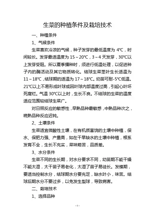生菜的种植条件及栽培技术