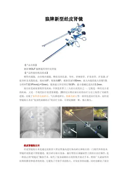 狼牌新型经皮肾镜