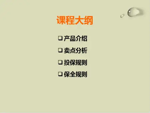 中国平安产品介绍PPT课件(14张)