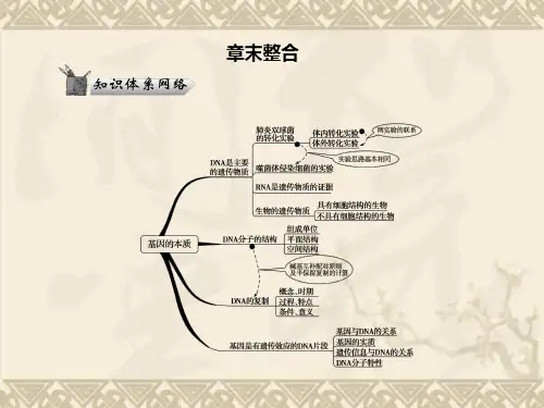 高考生物人教版二轮复习课件2-3-2章末整合