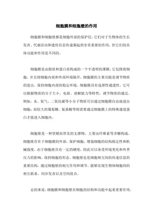细胞膜和细胞壁的作用