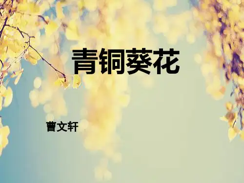青铜葵花名著导读PPT模板