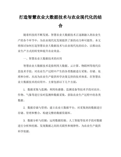 打造智慧农业大数据技术与农业现代化的结合