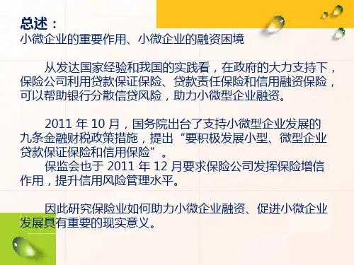 精品三种保险模式助力小微企业融资精品ppt课件