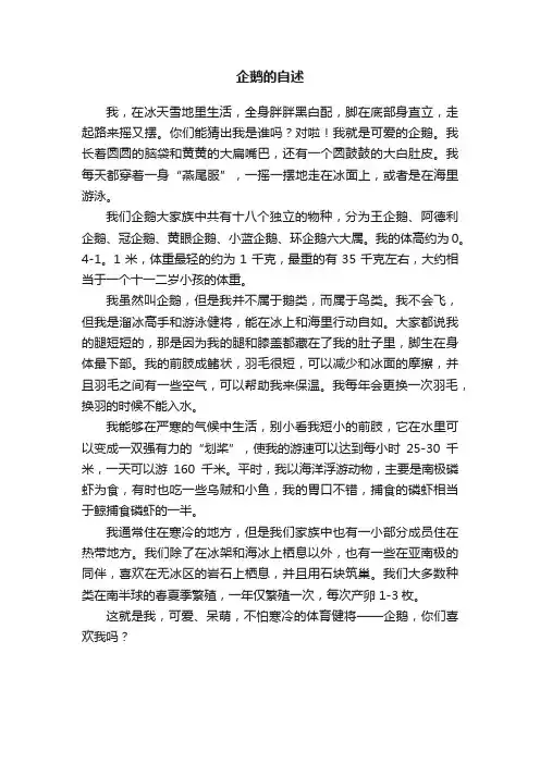 企鹅的自述