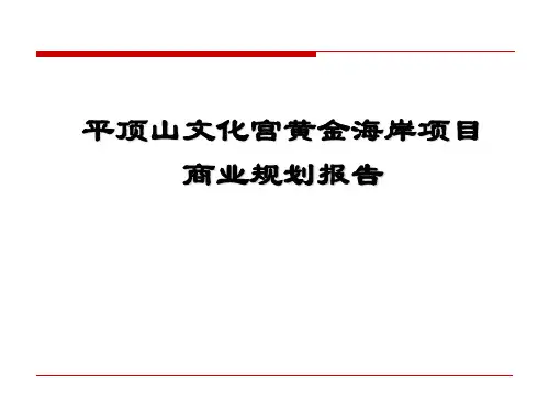 河南省平顶山文化宫黄金海岸项目商业规划报告(48页)